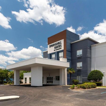 Springhill Suites By Marriott Baton Rouge South Exteriér fotografie